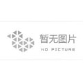《硅晶錠尺寸的測定 激光法》等16項半導體材料標準工作會議在上海順利召開